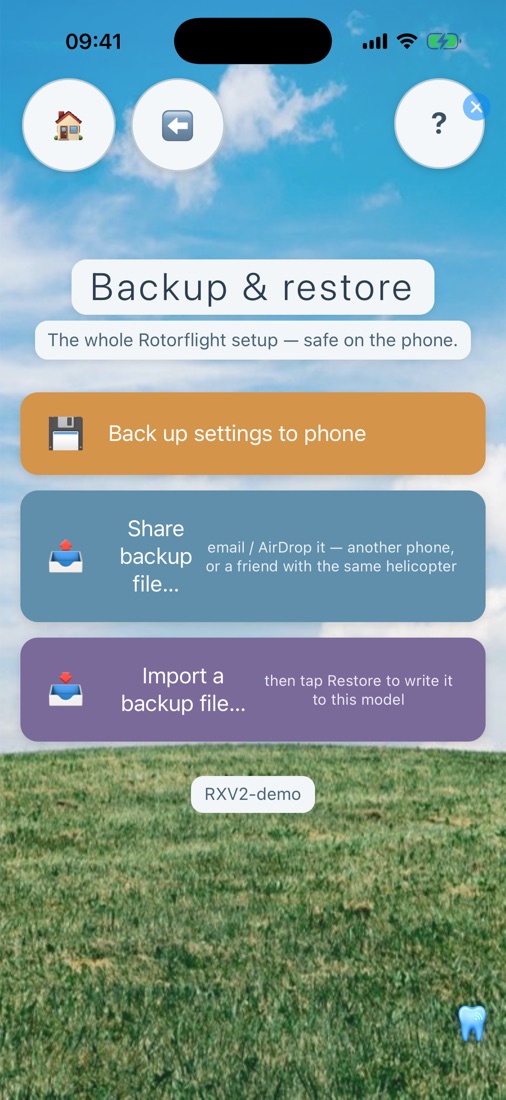 Backup and restore page