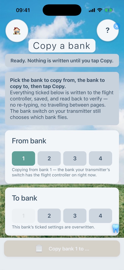 Copy a bank page