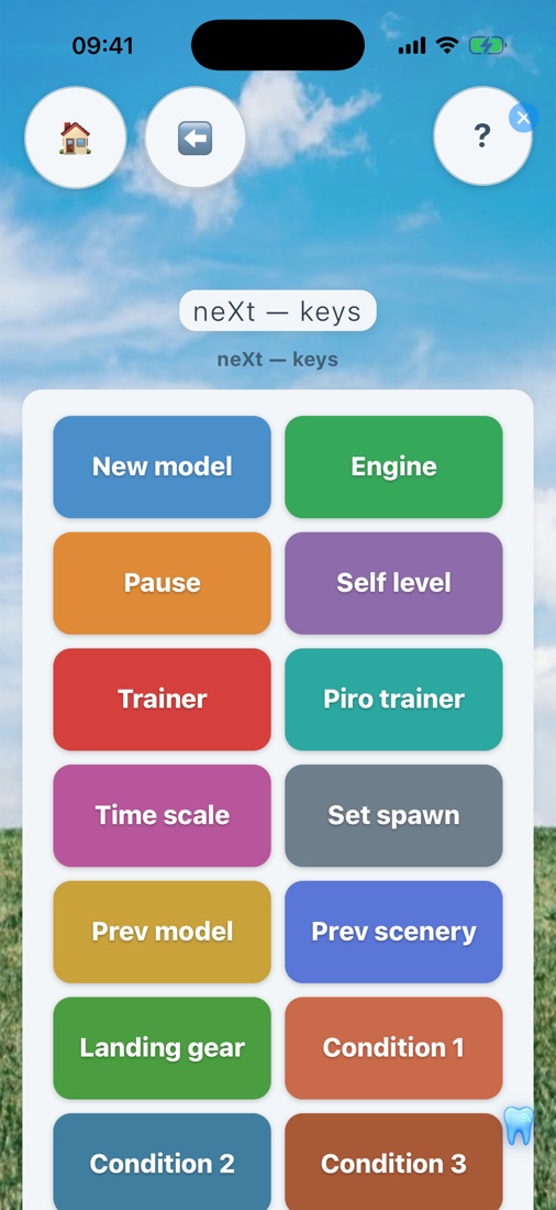 neXt keys on the phone