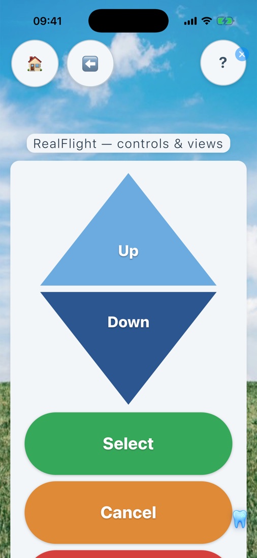 RealFlight controls and camera views on the phone