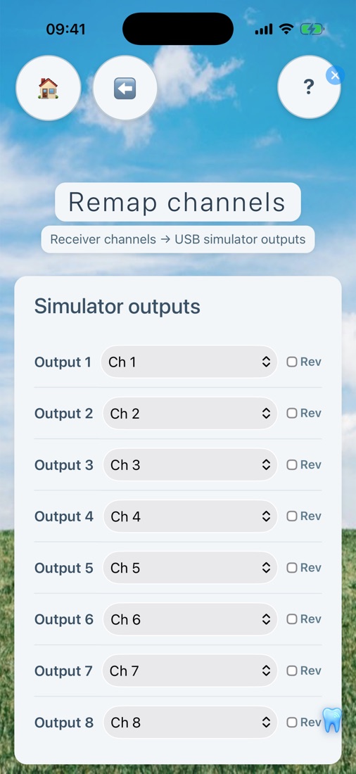 Remap channels page